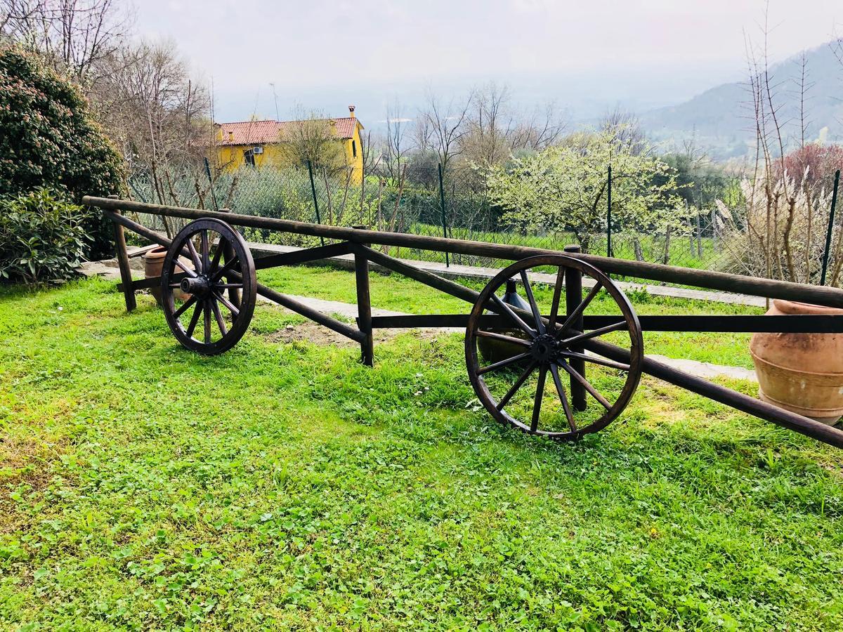 B&B La Casa Del Riccio Cinto Euganeo Zewnętrze zdjęcie